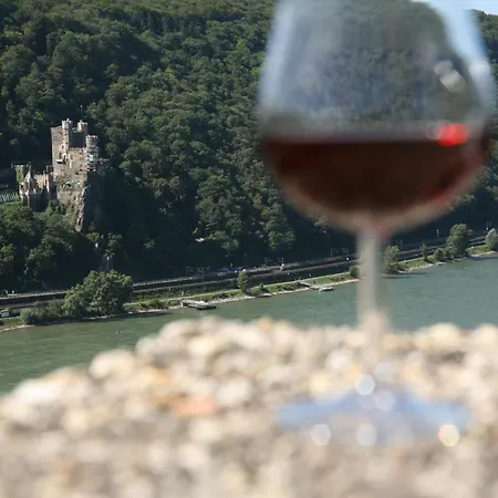 ラインホテル ラム リューデスハイム・アム・ライン