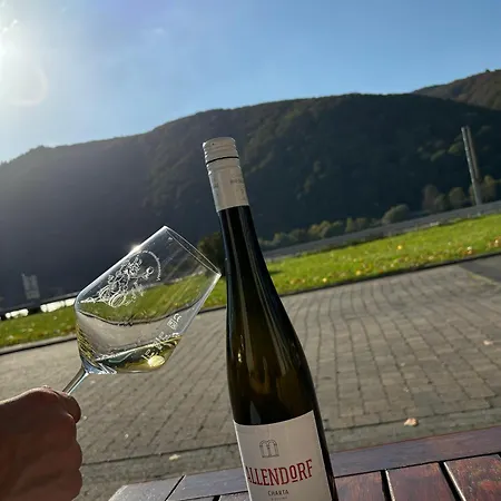 Rheinhotel Lamm Hotel