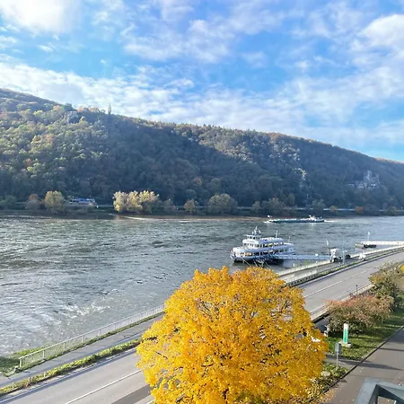 Hotel Rheinhotel Lamm