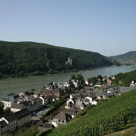 Rheinhotel Lamm 3*