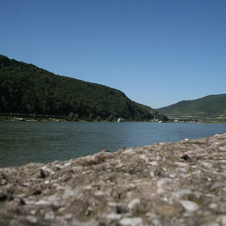 Rheinhotel Lamm 3*
