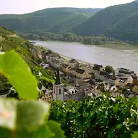 Szálloda Rheinhotel Lamm