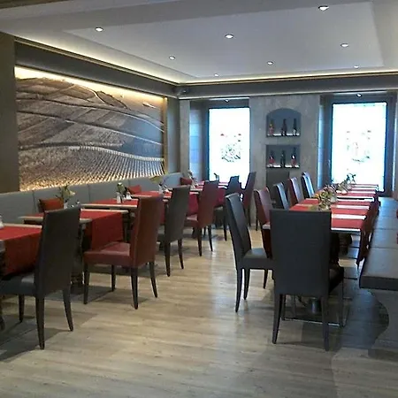 Hotel Rheinhotel Lamm