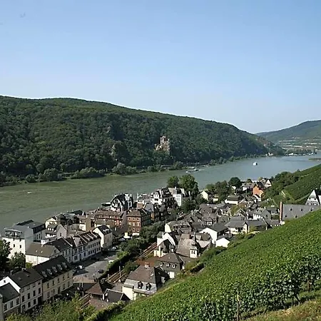 Rheinhotel Lamm 3* Ruedesheim am Rhein