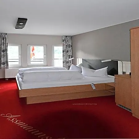 Hotel Rheinhotel Lamm 3*