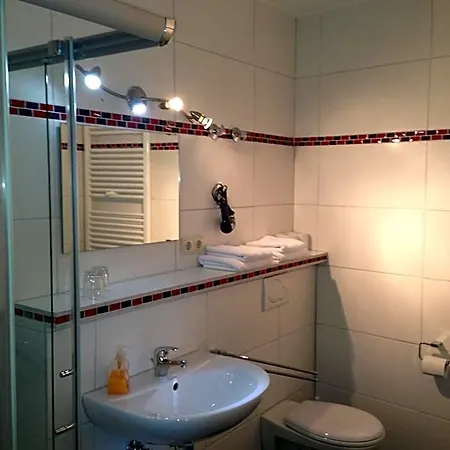 Rheinhotel Lamm 3* Ruedesheim am Rhein
