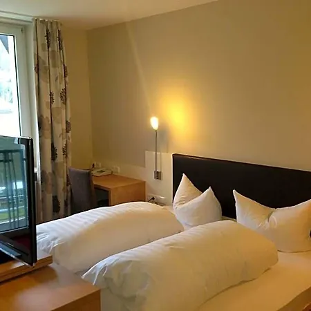 Hotel Rheinhotel Lamm Ruedesheim am Rhein