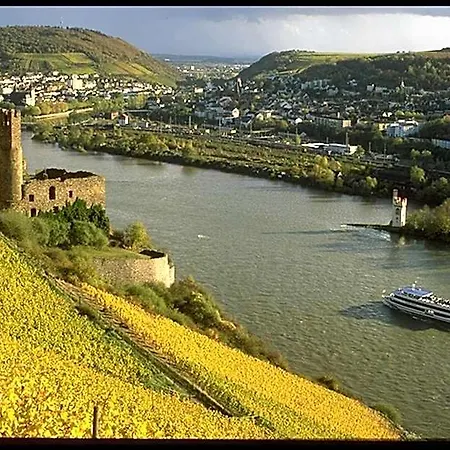 Rheinhotel Lamm 3*