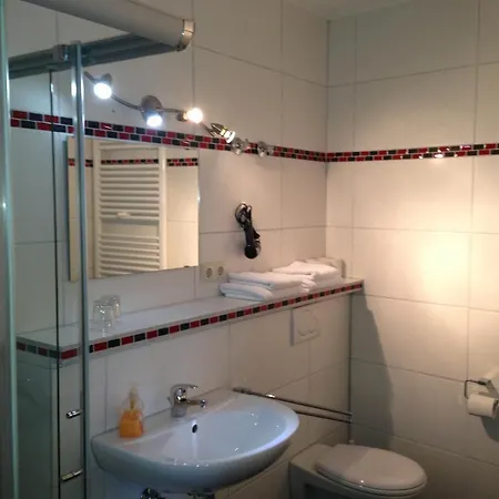 Hotel Rheinhotel Lamm 3*