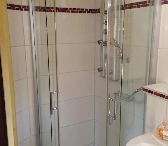 Rheinhotel Lamm Hotel 3*